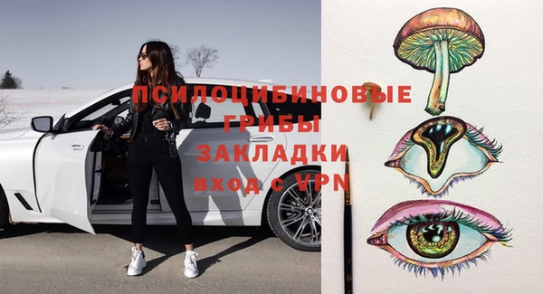 эйфоретик Новодвинск