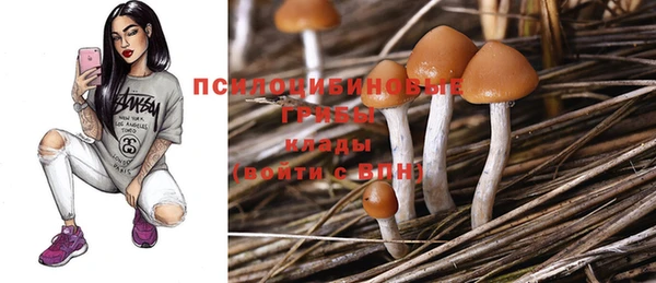 гашиш Новокубанск