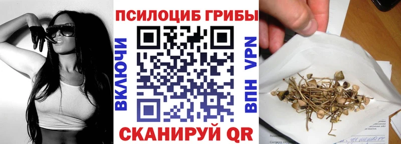 дарнет шоп  Пионерский  Псилоцибиновые грибы Psilocybine cubensis 